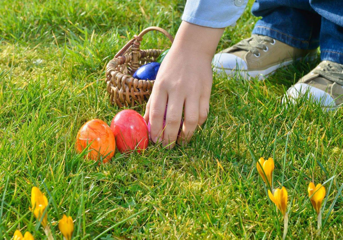 CHASSE AUX OEUFS