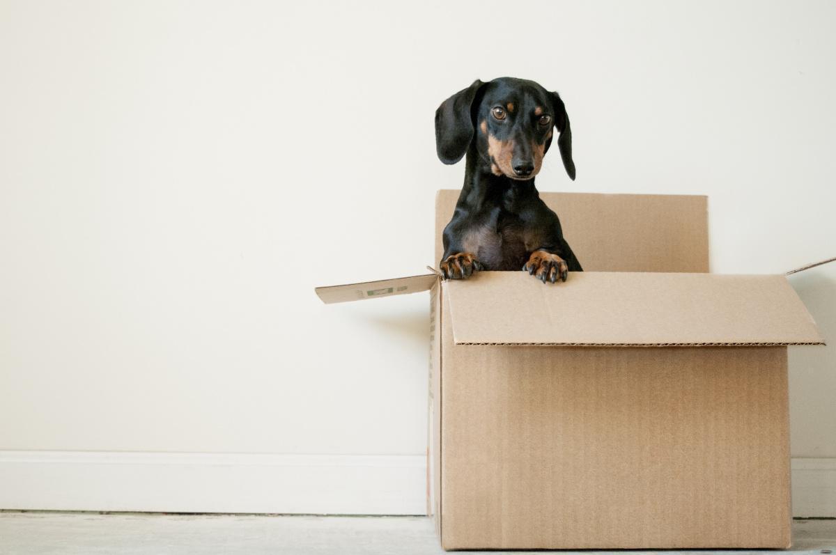 Aides ActionLogement :Alternant, salariés, rénovation...