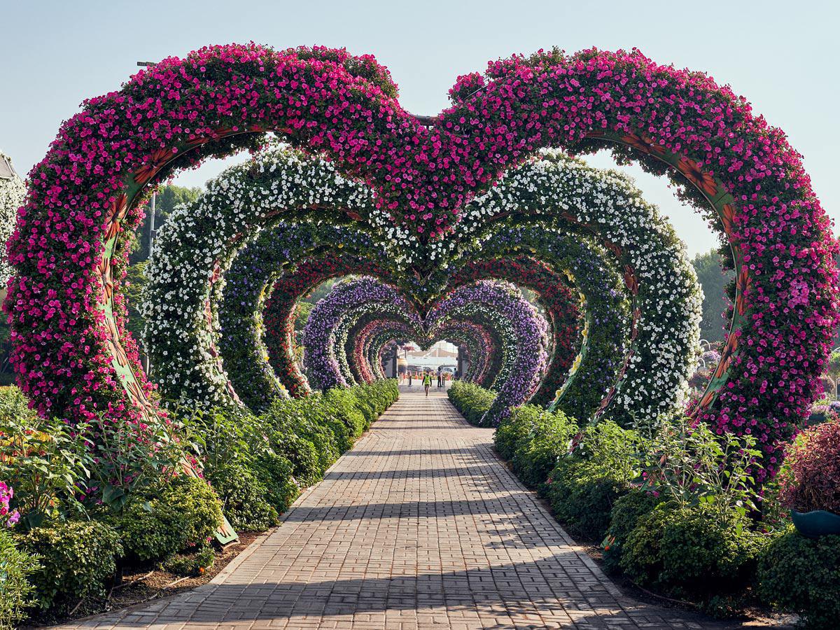 Dubai Miracle Garden