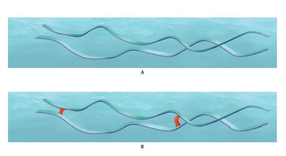 ¿Qué es el acido Hialuronico?