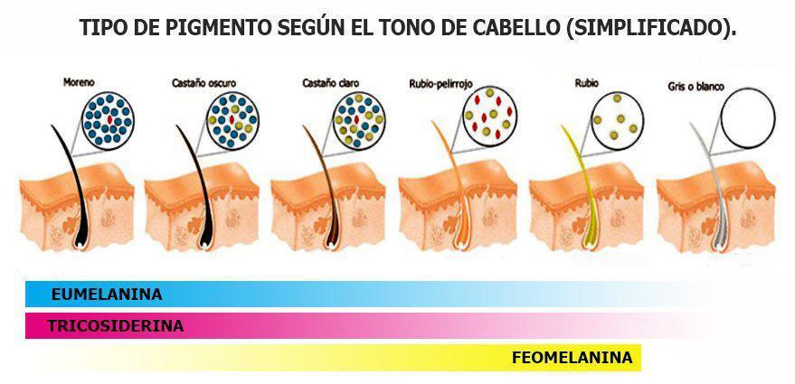 Todo lo que debes sabes sobre la Depilación Láser Medica Todo lo que debes sabes sobre la Depilación Láser Medica