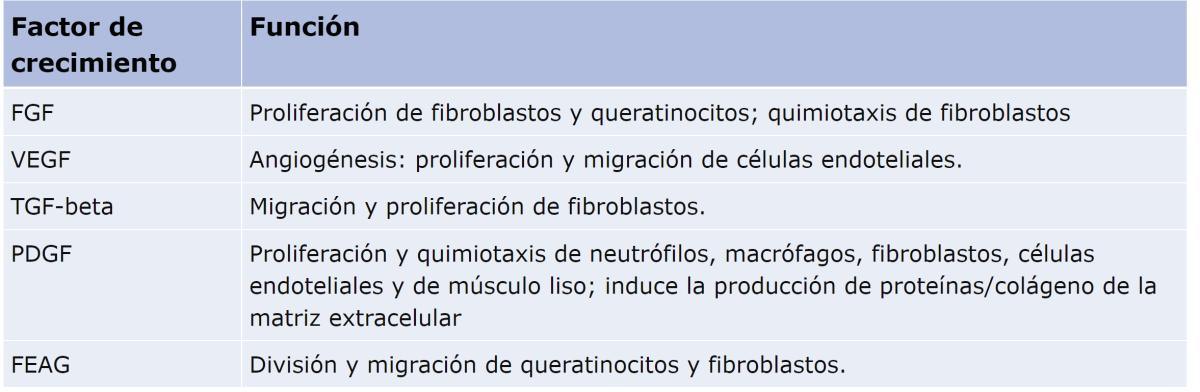 Curación de heridas Curación de heridas