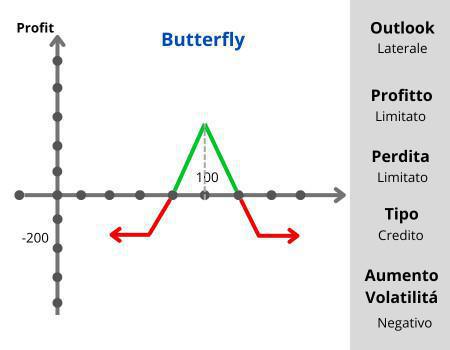 Butterfly  Butterfly