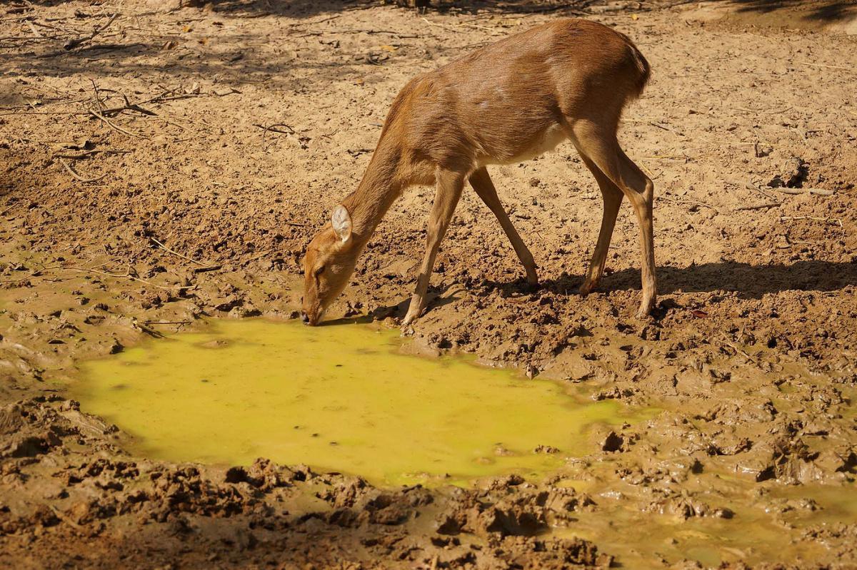 「聖靈 — 生命的活水江河」 「聖靈 — 生命的活水江河」