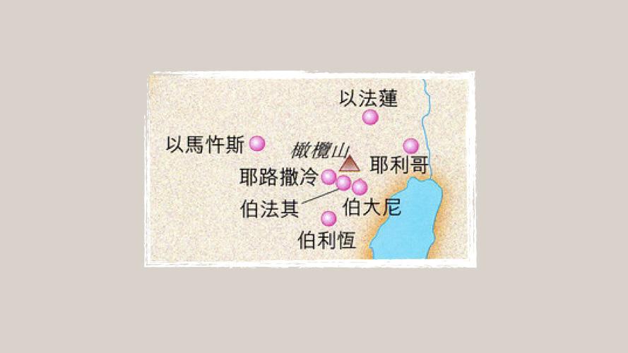 林耀楠牧師｜牧者心聲｜主的小驢駒