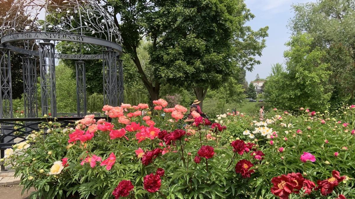 「大自然治療」 「大自然治療」