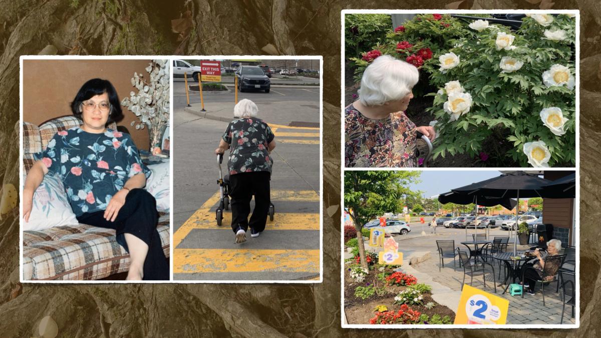 「歲月摧殘 生命不朽」 「歲月摧殘 生命不朽」