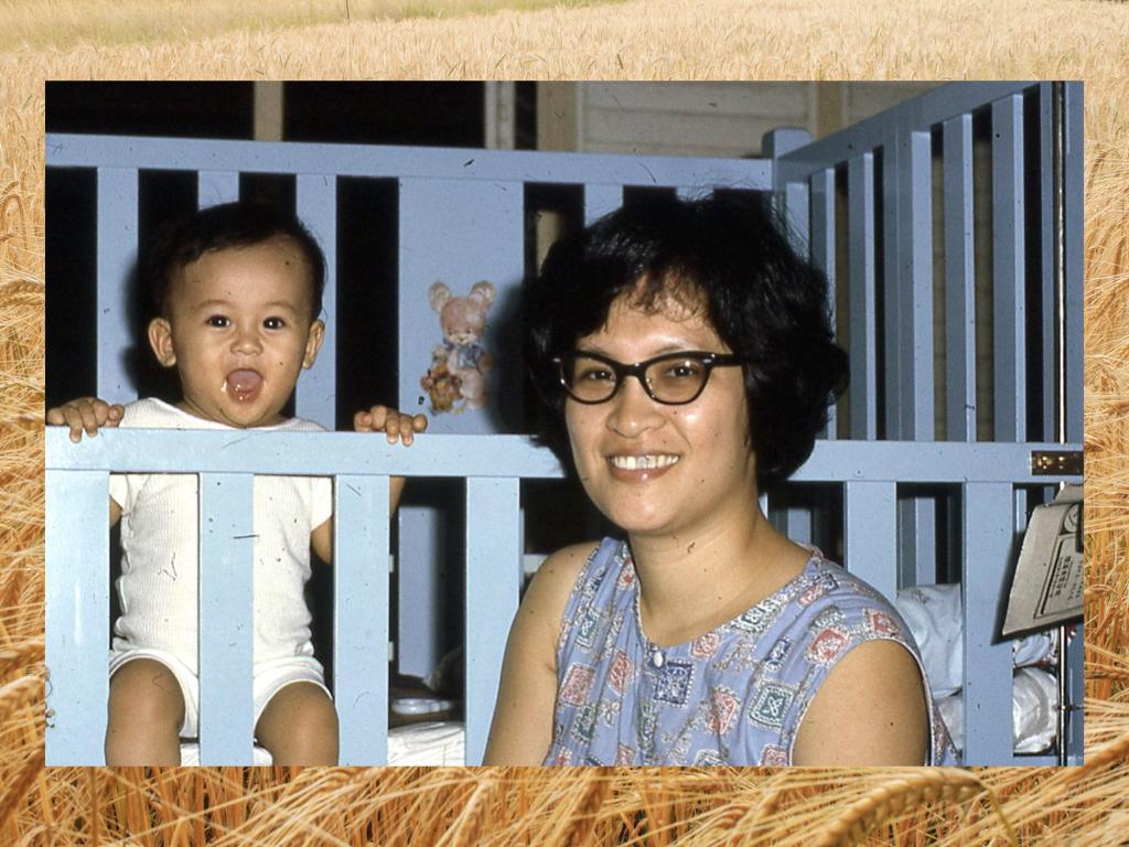 「宣教生活在汶萊 — 建立教會」 「宣教生活在汶萊 — 建立教會」