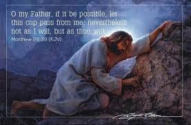 「苦難的另一面」 「苦難的另一面」