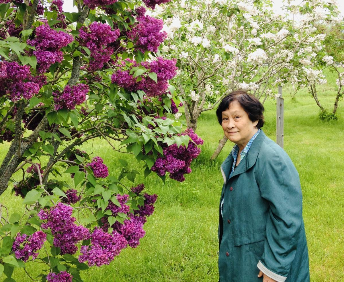 「Lilac 紫丁香的愛」