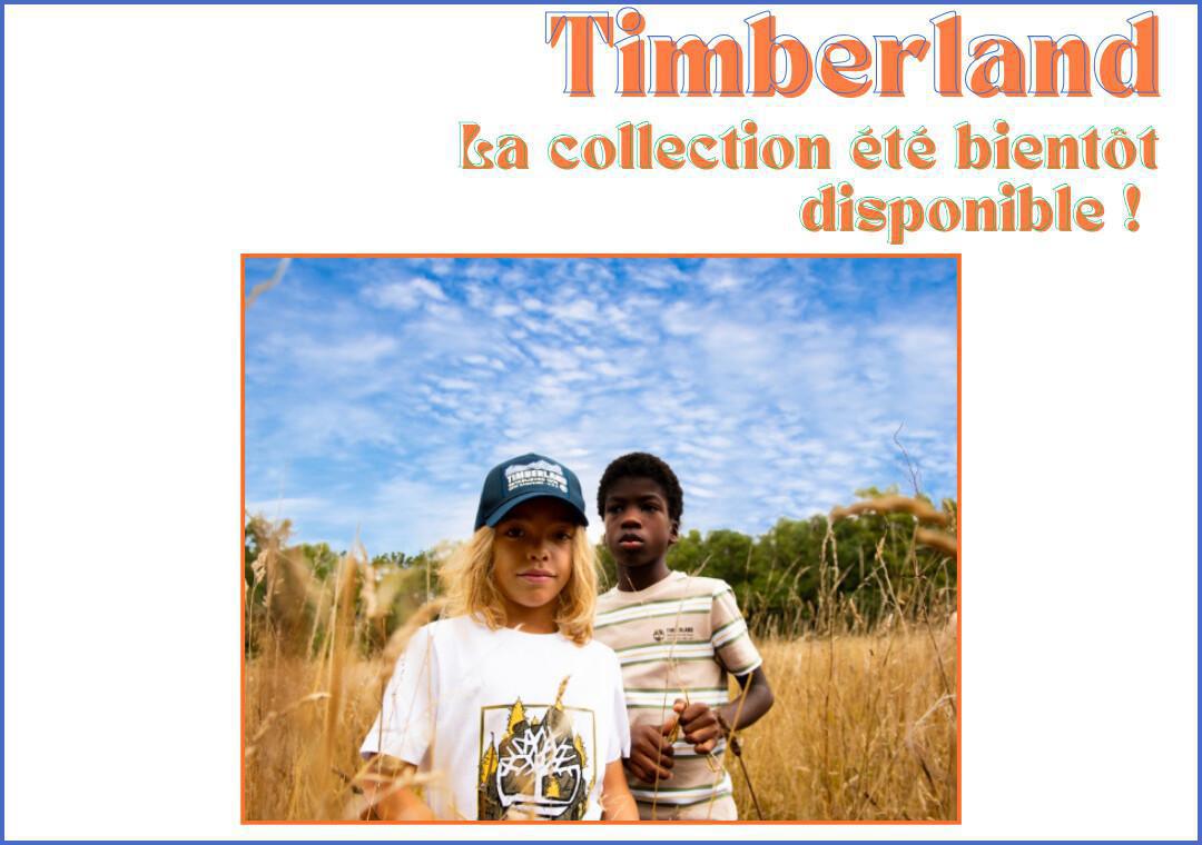 TIMBERLAND 