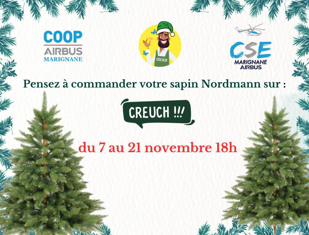 VENTE DE SAPINS NORDMANN