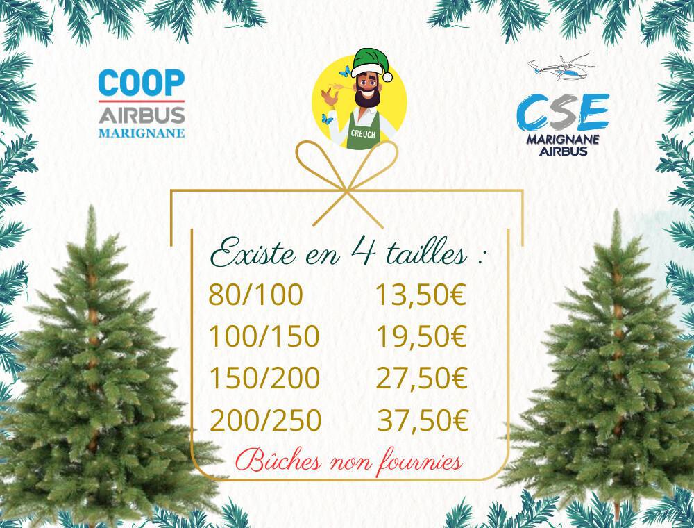 VENTE DE SAPINS NORDMANN