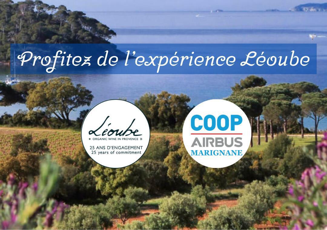 DOMAINE LEOUBE