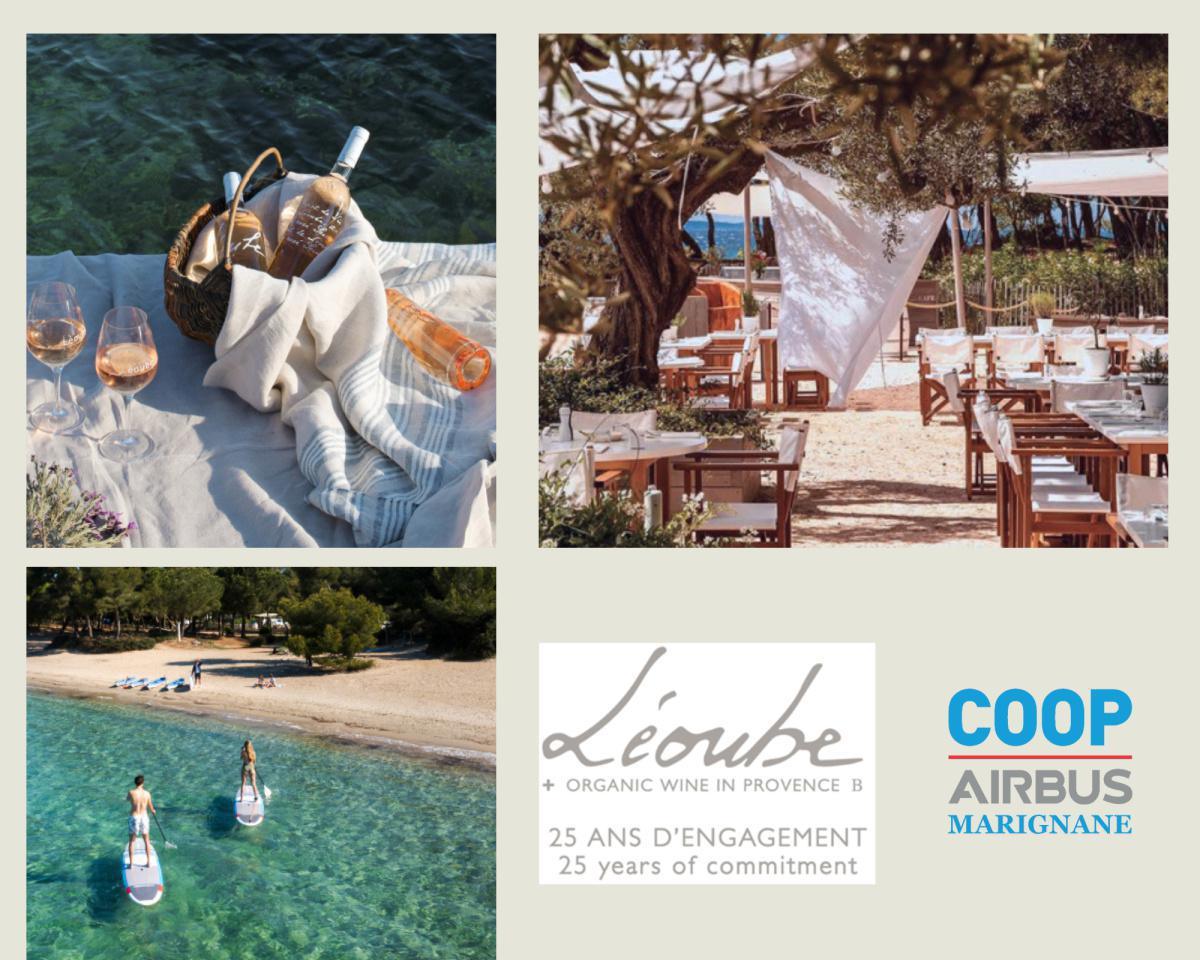 DOMAINE LEOUBE