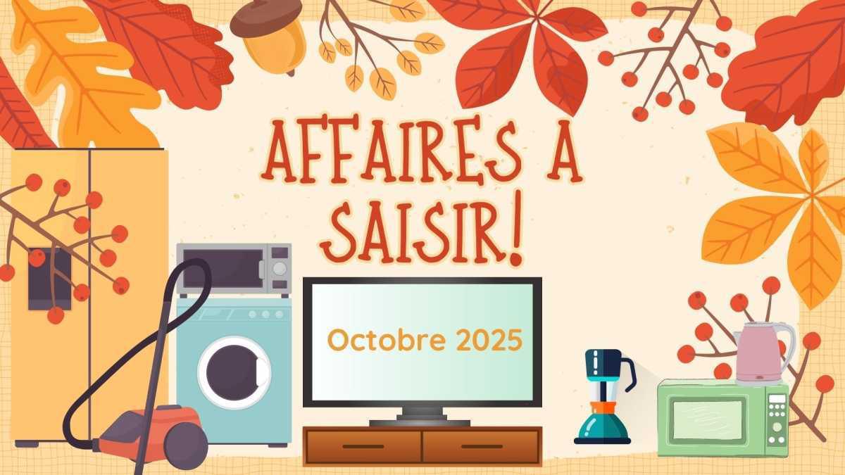 AFFAIRES A SAISIR