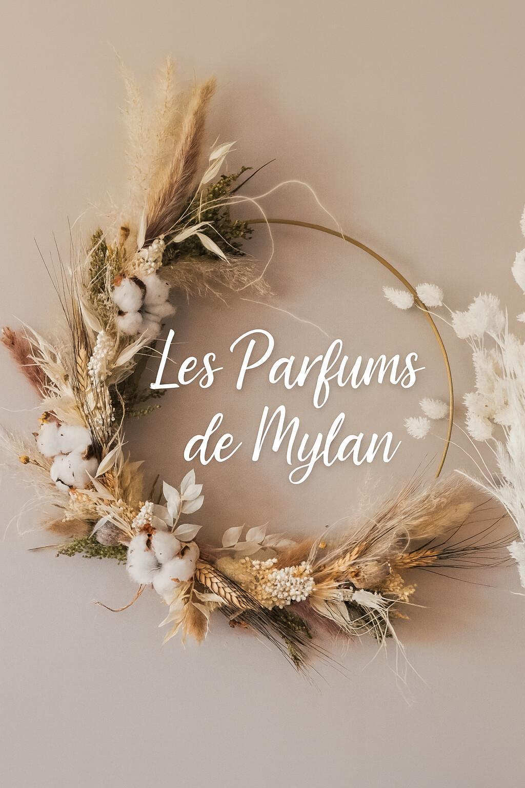 Du 03 novembre au vendredi 07 novembre 2025