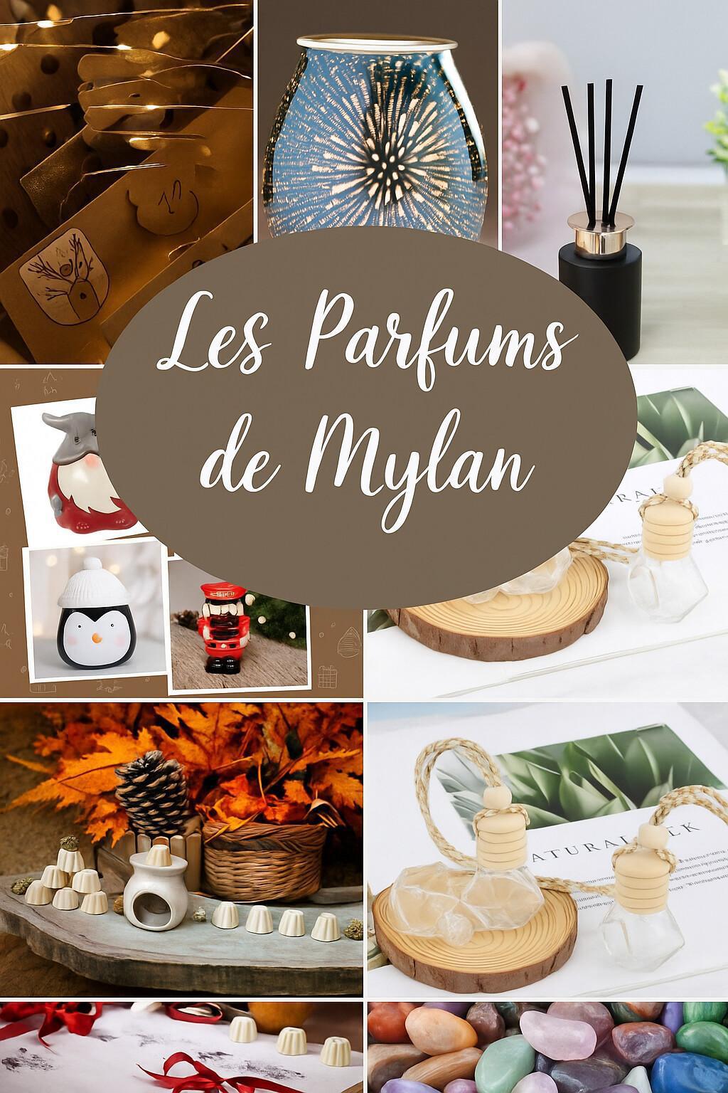 Du 03 novembre au vendredi 07 novembre 2025