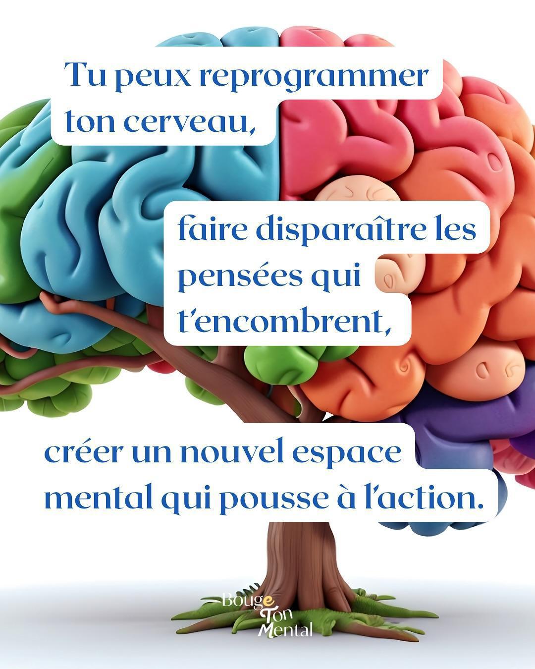 Du 03 novembre au vendredi 07 novembre 2025