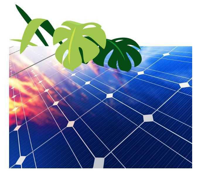 Du 03 novembre au vendredi 07 novembre 2025