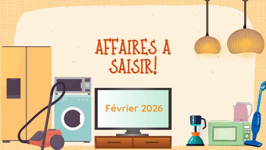 AFFAIRES A SAISIR