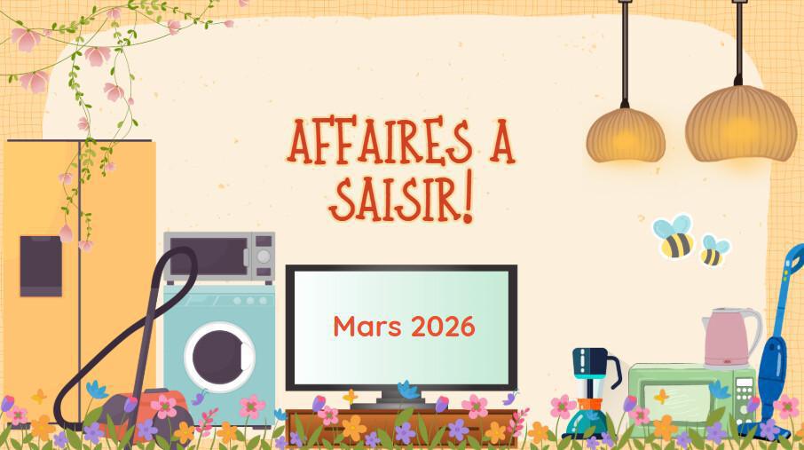 AFFAIRES A SAISIR