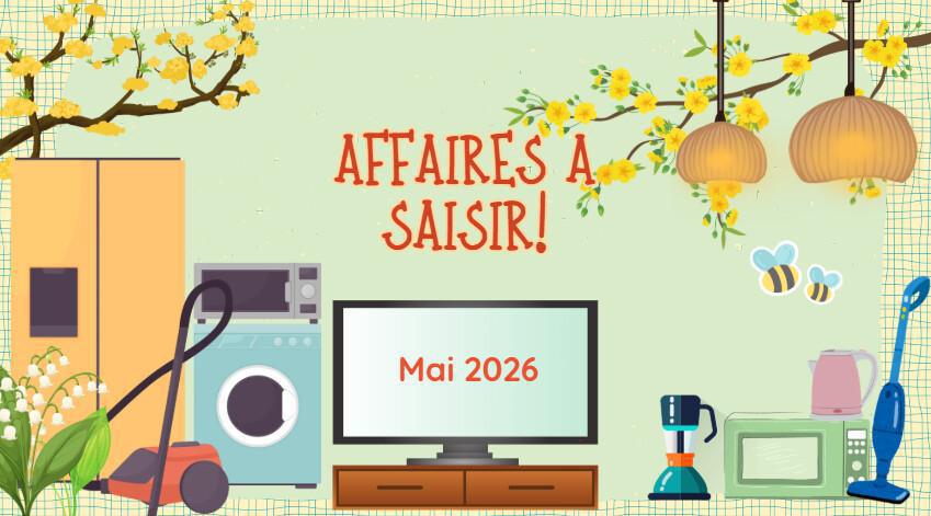 AFFAIRES A SAISIR