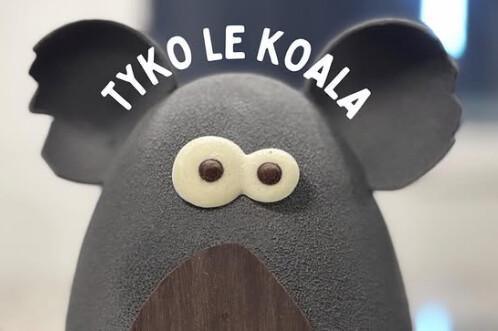 Tyko le Koala en chocolat