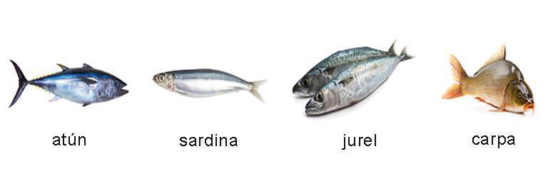 Pescado Azul o Blanco ¿Cuál es tu favorito? Pescado Azul o Blanco ¿Cuál es tu favorito?