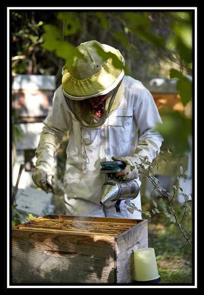 Le Petit Marché : Les commerçants sur la place Le Petit Marché : Les commerçants sur la place