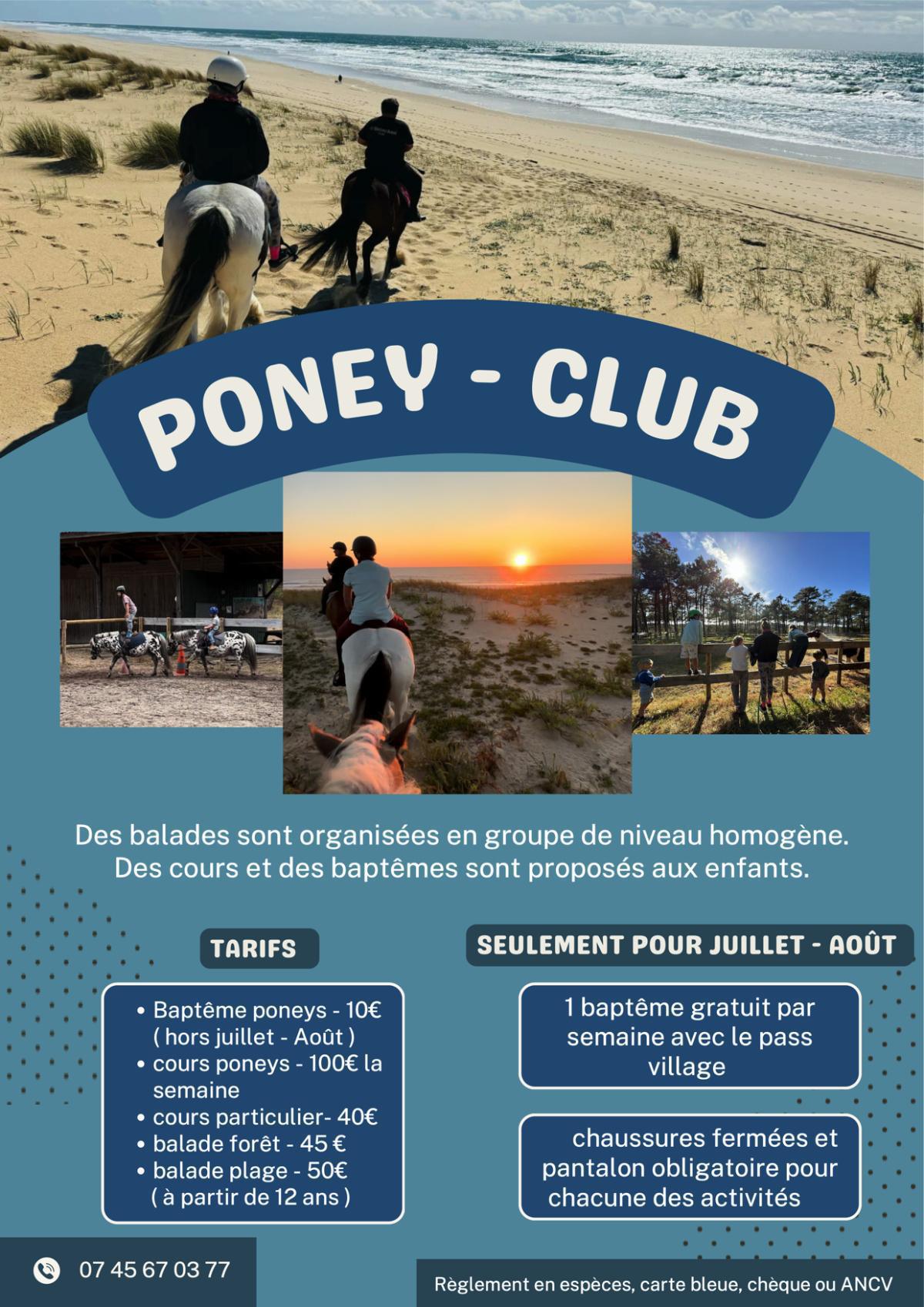 Poney Club : Cours et promenades
