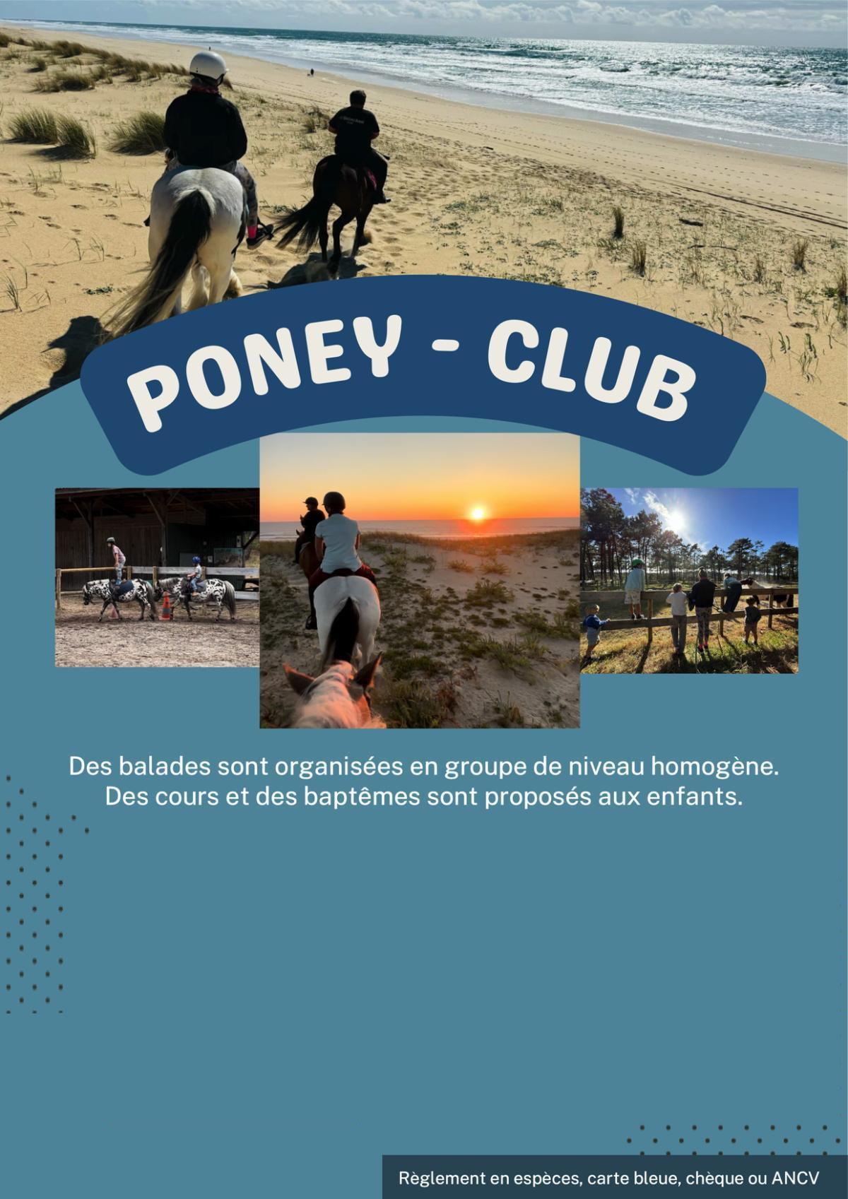 Poney Club : Cours et promenades