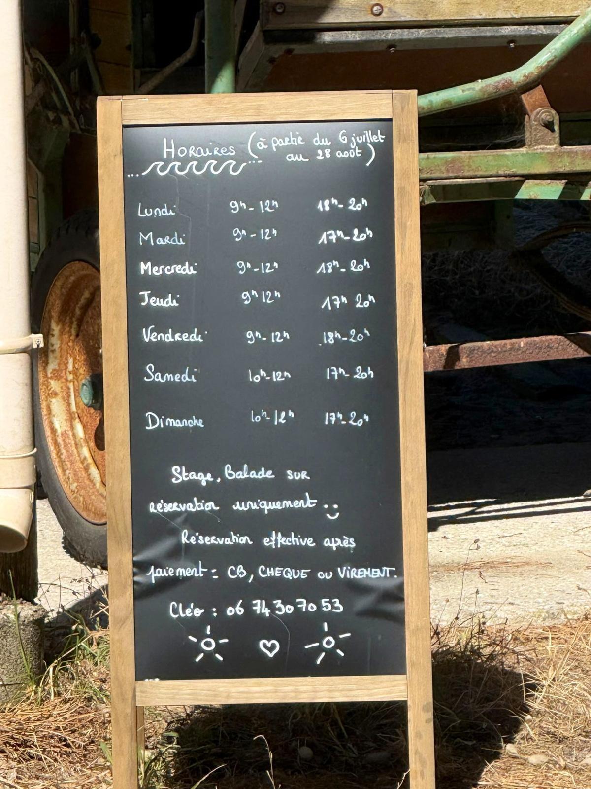 Poney Club : Cours et promenades