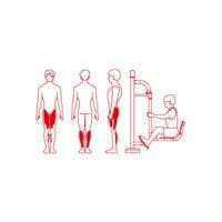 Musculation d'extérieur (gratuit) Musculation d'extérieur (gratuit)