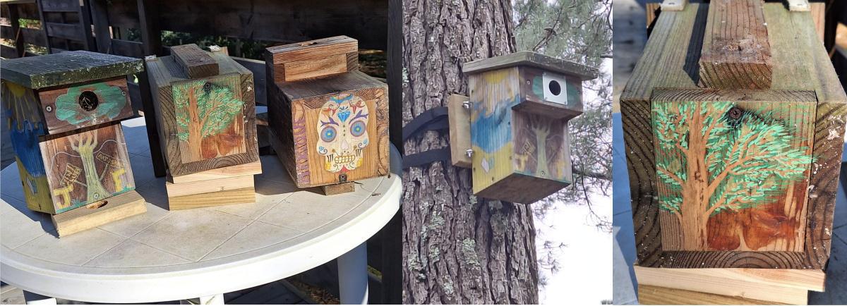 Les nichoirs à mésanges de la SCI Les nichoirs à mésanges de la SCI