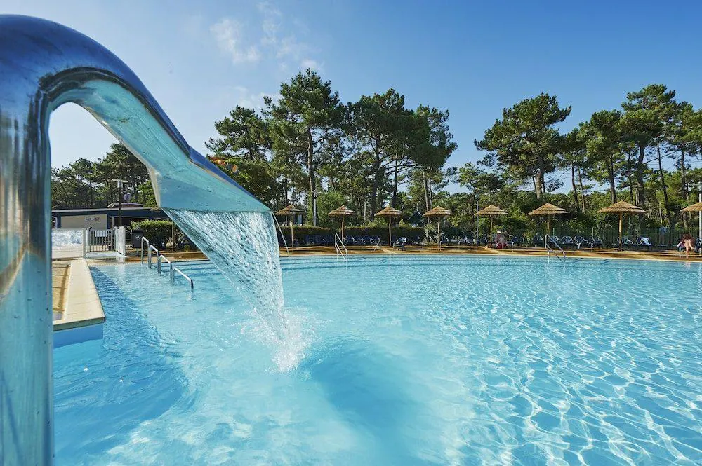 Piscine cygne