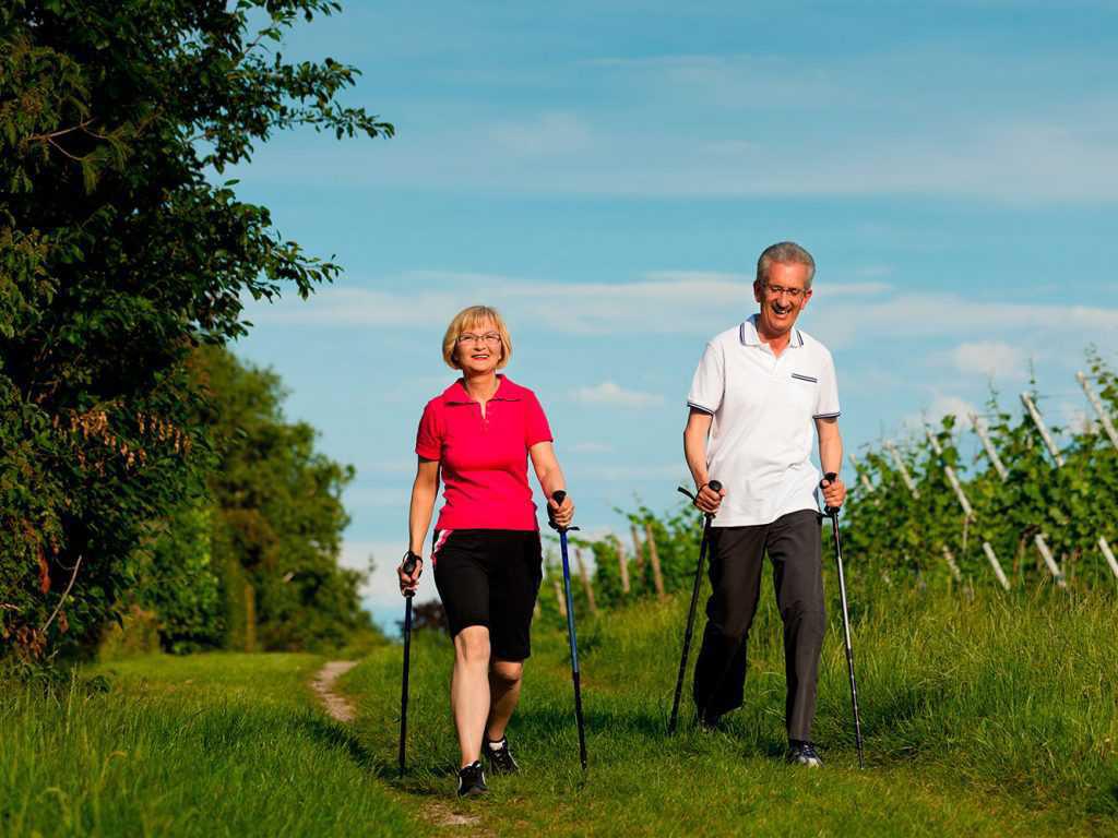 Trekking and Nordic Walking Trekking and Nordic Walking