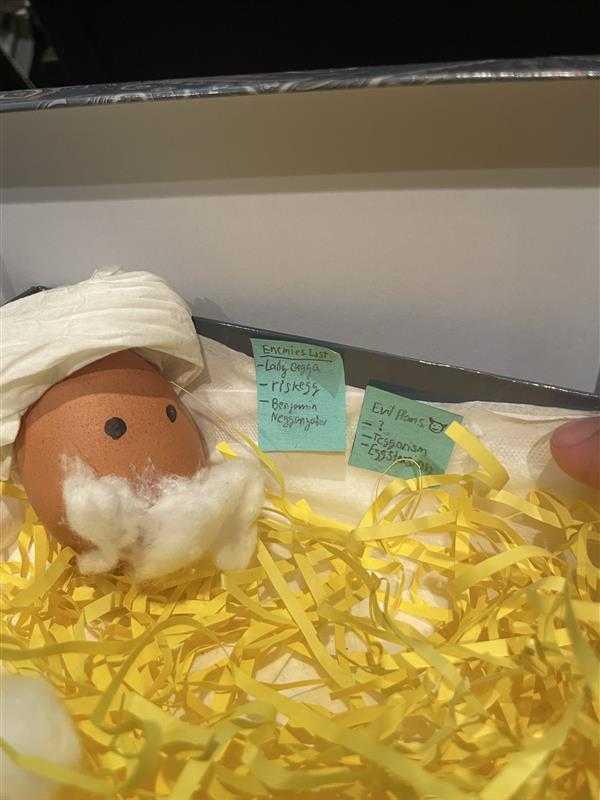 Eggs Project – Des élèves très engagés !