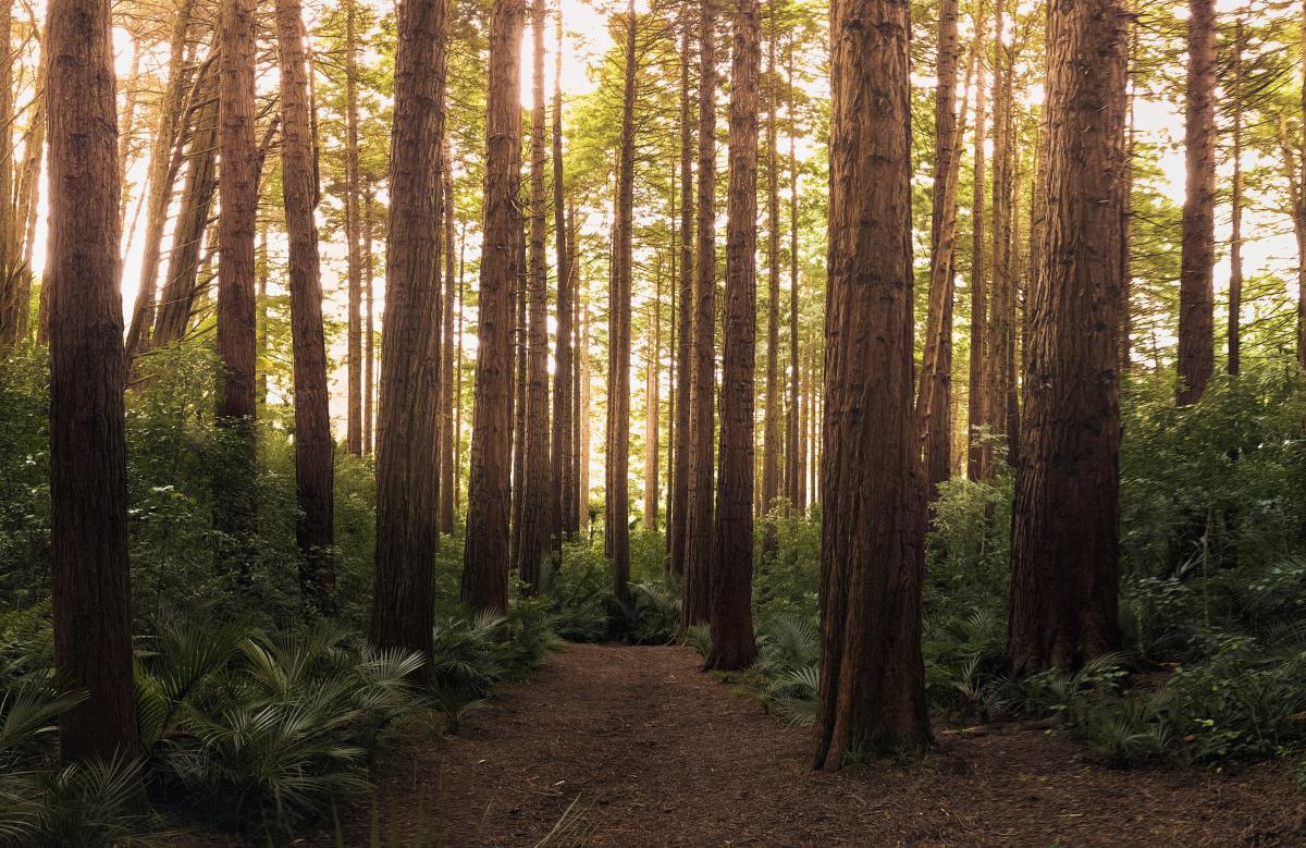 Table Rock State Park