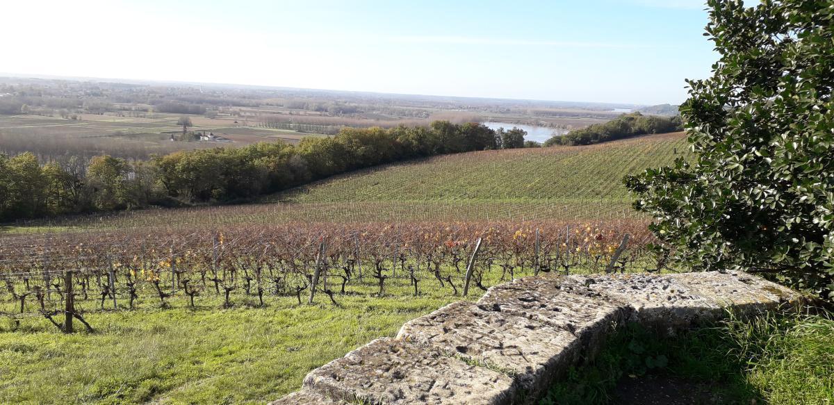 Randonnées Randonnées