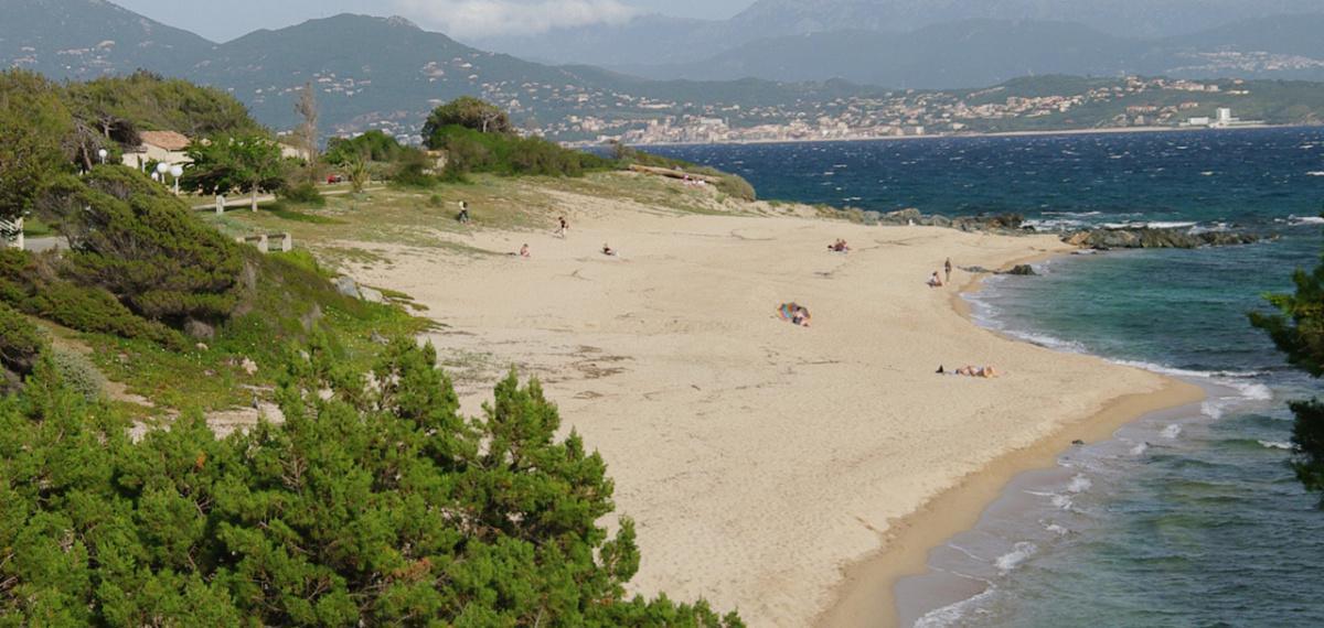 Bienvenue à Scodi Neri