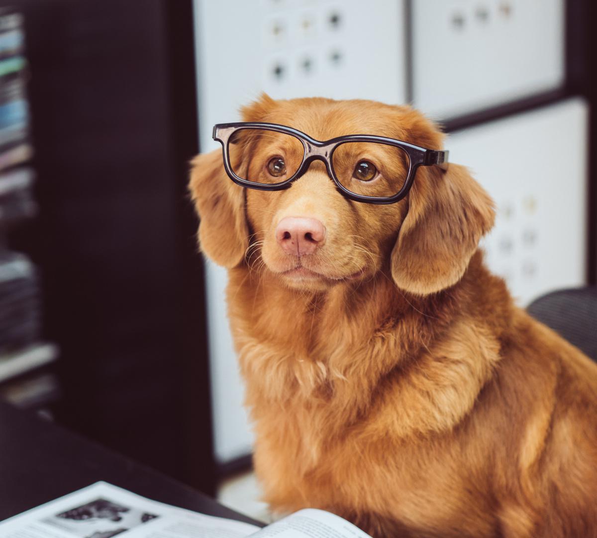 Quelques extraits du règlement intérieur Quelques extraits du règlement intérieur