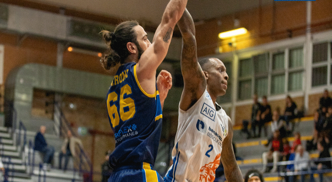 Pansa presenta la partita contro Latina: "Impedirgli di mettere sabbia nei nostri ingranaggi" Pansa presenta la partita contro Latina: "Impedirgli di mettere sabbia nei nostri ingranaggi"