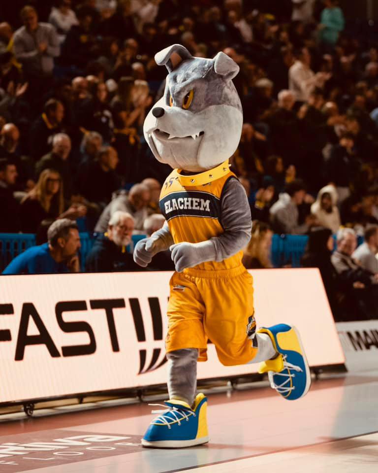 Siete pronti a scegliere il nome della nostra mascotte? Ecco le tre proposte! Siete pronti a scegliere il nome della nostra mascotte? Ecco le tre proposte!