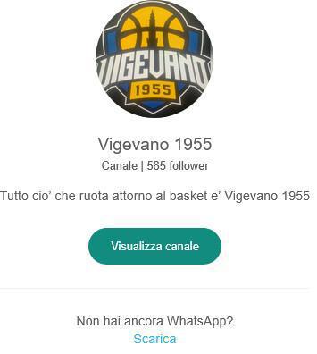 Mercoledì 30 luglio, ore 14: scoprite sul gruppo whatsapp Vigevano 1955 la 1a giornata di serie B