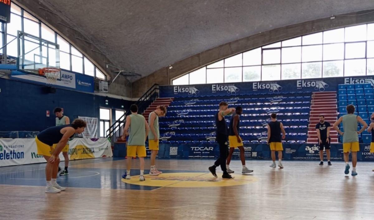 Seguite Piazza Armerina-Vigevano 1955 sul nostro gruppo whatsapp Seguite Piazza Armerina-Vigevano 1955 sul nostro gruppo whatsapp