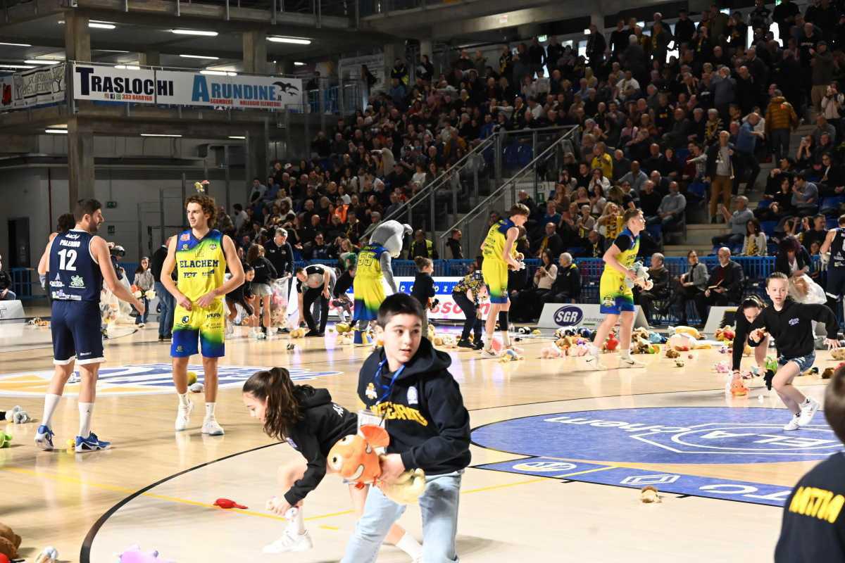 GRAZIE VIGEVANO: ANCORA UNA VOLTA HAI FATTO CENTRO CON IL TEDDY BEAR TOSS! GRAZIE VIGEVANO: ANCORA UNA VOLTA HAI FATTO CENTRO CON IL TEDDY BEAR TOSS!