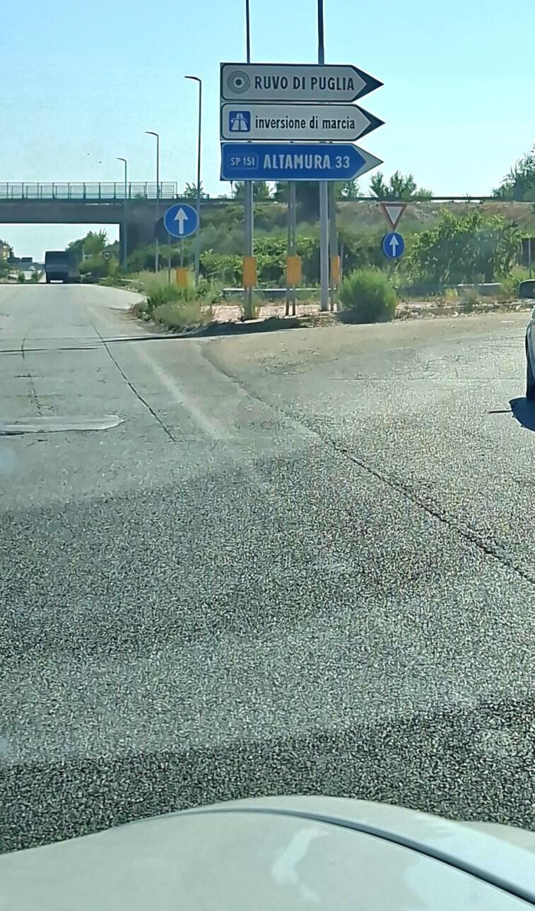 Dolci vacanze gialloblu: un'altra carrellata di foto dai nostri tifosi. Vi riconoscete?