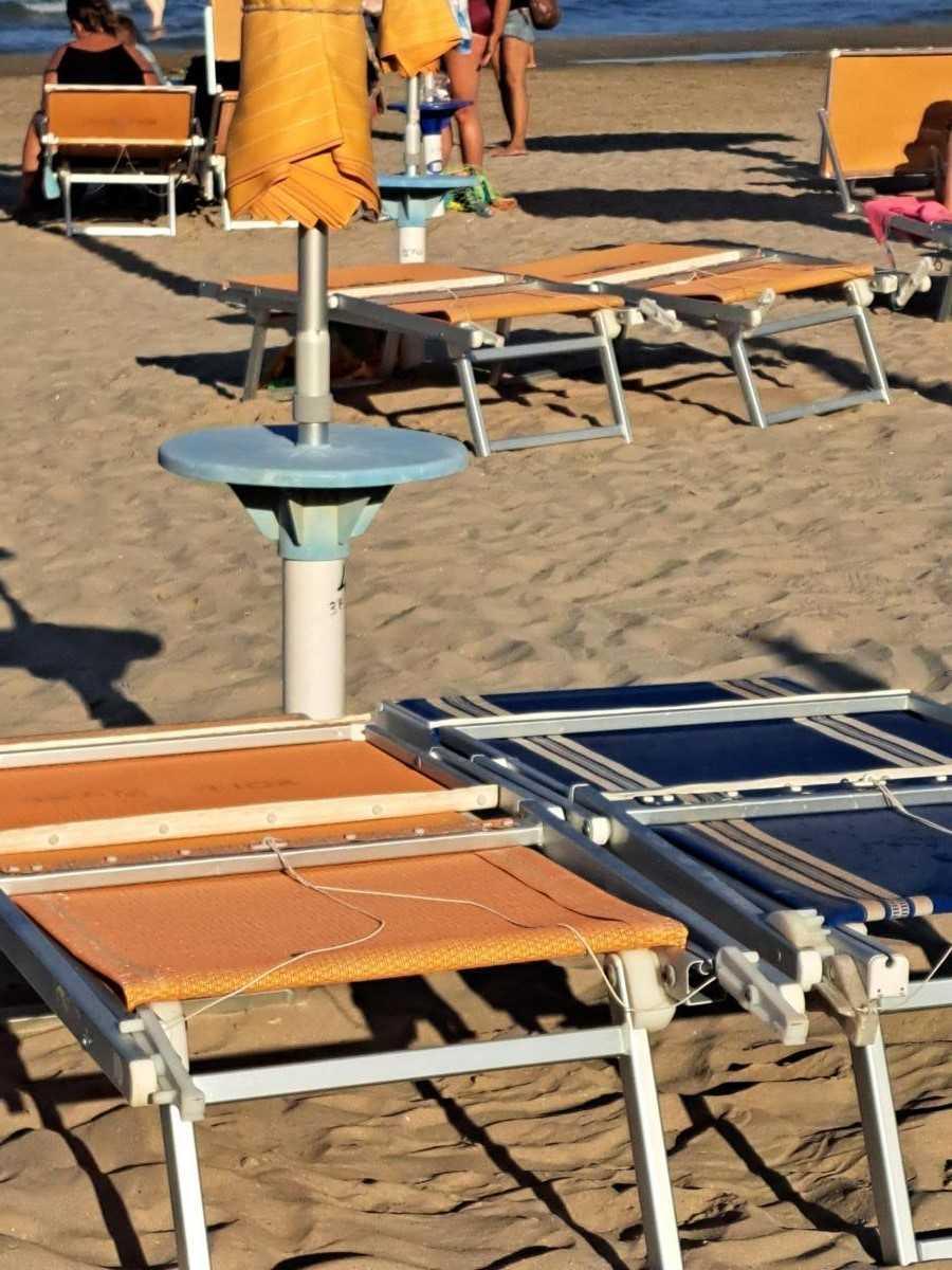 Foto, foto, foto....i colori gialloblu invadono il mondo! Foto, foto, foto....i colori gialloblu invadono il mondo!