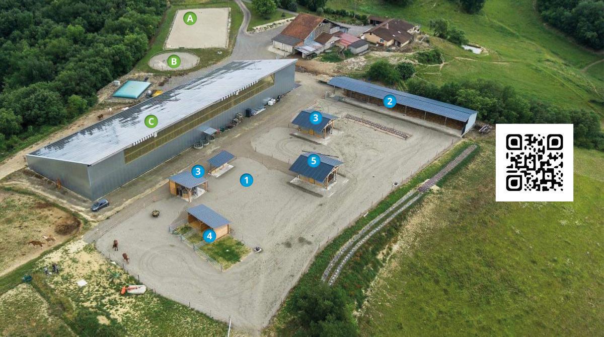 La pension équestre en écurie active La pension équestre en écurie active